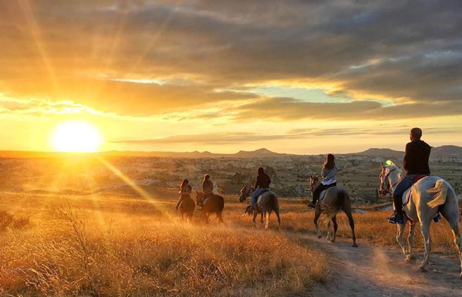 Equestrian program